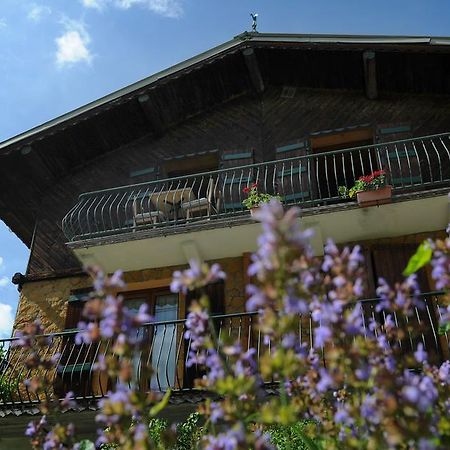 Chalet Genepi Montriond Exterior photo