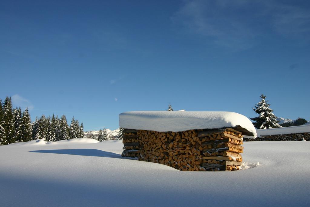 Chalet Genepi Montriond Exterior photo