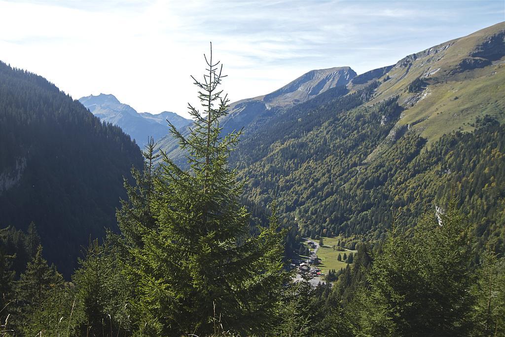 Chalet Genepi Montriond Exterior photo